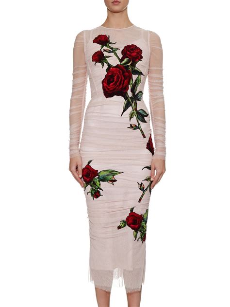 dolce gabbana rosse|dolce & gabbana rose dress.